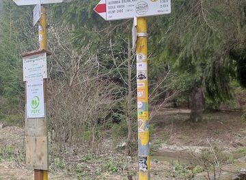 slovakia/besenova-thermal-park/attraction/jastrabia-dolina