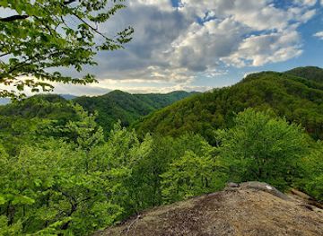 romania/buila-vanturarita-national-park/attraction/dealul-piatra-cerbului