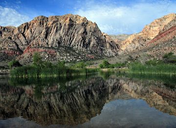nevada/red-rock-canyon-national-conservation-area/attraction/spring-mountain-ranch-state-park
