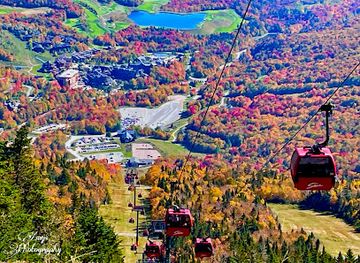 vermont/stowe/attraction/gondola-skyride