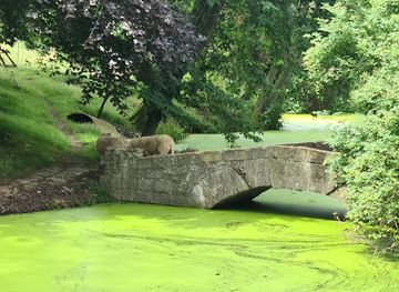 belgium/west-flanders/attraction/model-ww1-trench-site
