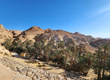 tunisia/douz/attraction/sahara