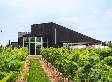 pitcairn-islands/buffalo-town/attraction/lakeview-wine-co