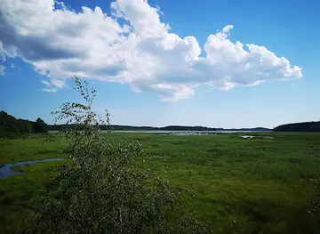 Ruskis Bird Watching Tower