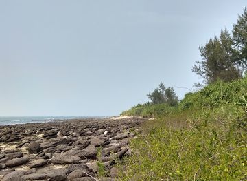 bangladesh/saint-martin-s-island/attraction/gewa-bagan-saint-martin-island