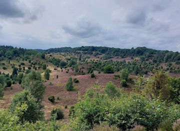 germany/lüneburg-heath/attraction/behringer-hugelgraberheide-mit-barrierefreiem-rundwanderweg