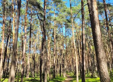 poland/kampinos-national-park/attraction/piaskowa-gora