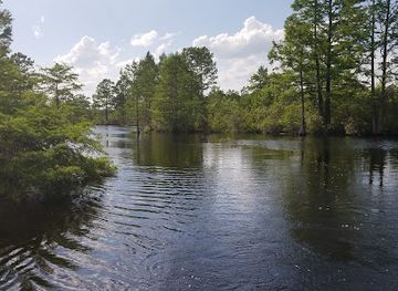 virginia/chesapeake/attraction/northwest-river-natural-area-preserve