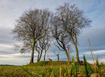 united-kingdom/durham/attraction/seven-sisters