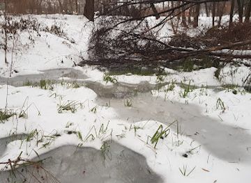 ukraine/sumy-region/attraction/dolina