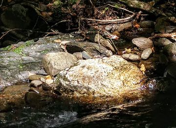 tennessee/appalachian-mountains/attraction/big-frog-wilderness