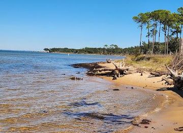 florida/pensacola/attraction/naval-live-oaks-nature-preserve