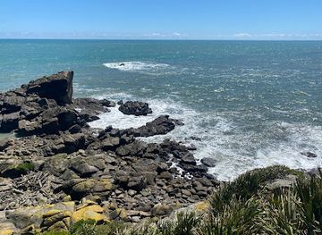 new-zealand/west-coast/attraction/seal-colony-tauranga-bay