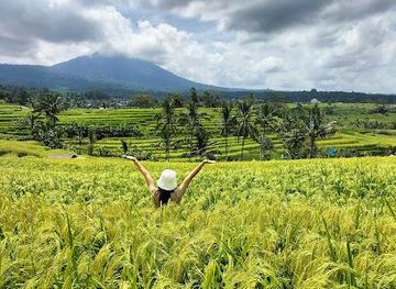 indonesia/bali/attraction/jatiluwih-rice-terraces