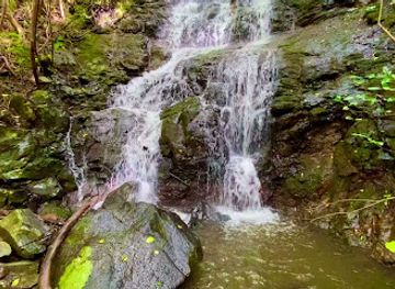 mauritius/black-river-gorges-national-park/attraction/sham-waterfall