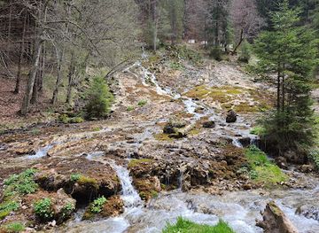 romania/prahova/attraction/screaming-waterfall