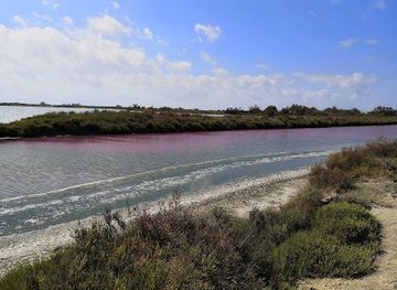 france/camargue/attraction/etang-de-moro