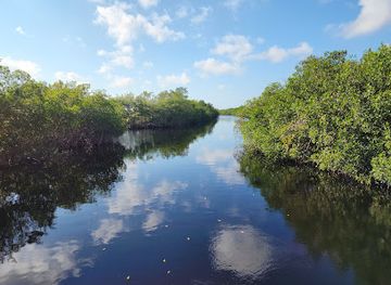 florida/fakahatchee-strand-preserve-state-park/attraction/nathaniel-p-reed-visitor-center