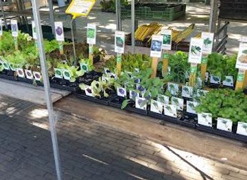 netherlands/amsterdam/attraction/amstelveld