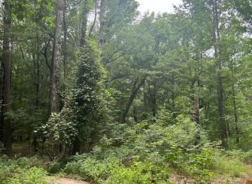 arkansas/pine-bluff/attraction/byrd-lake-natural-area