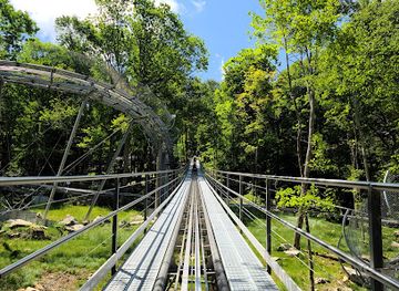 north-carolina/foothills/attraction/wilderness-run-alpine-coaster