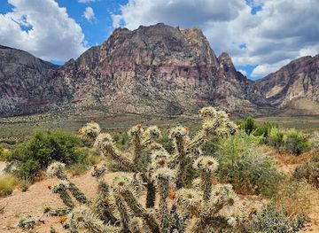 nevada/red-rock-canyon-national-conservation-area/attraction/south-oak-creek-trailhead