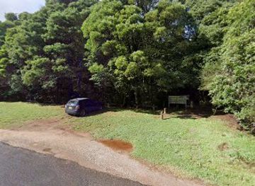 australia/southern-highlands/attraction/rainforest-walking-track