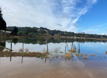 Humedal Las Salinas de Barrancas