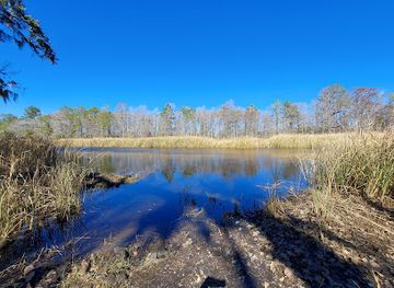 south-carolina/francis-marion-national-forest/attraction/hampton-plantation-state-historic-site
