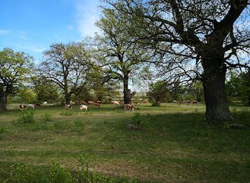 slovakia/novohrad/attraction/gavurky
