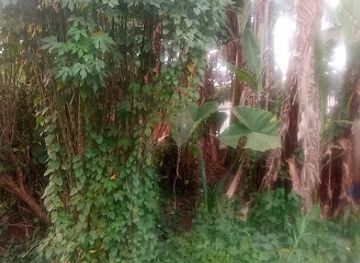 cameroon/bamenda/attraction/home-farm-nah-nji