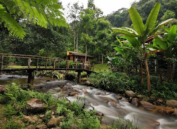 thailand/phi-pan-nam-range/attraction/teen-tok-royal-project-development-center