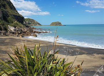new-zealand/hawke-s-bay/attraction/flat-rock
