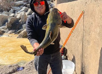 alabama/weiss-lake/attraction/lake-weiss-spillway