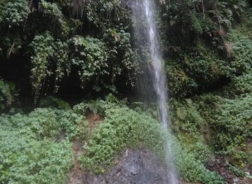 saint-lucia/anse-mamin/attraction/mount-gimie-waterfall