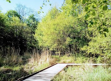 slovakia/trnava/attraction/kamenny-mlyn-trnava