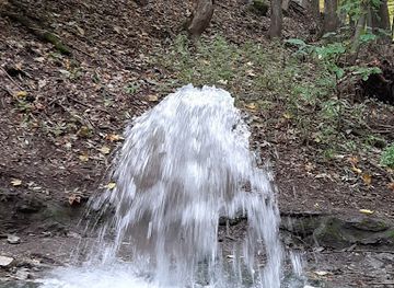 hungary/bukk-national-park/attraction/vorosko-forras-also