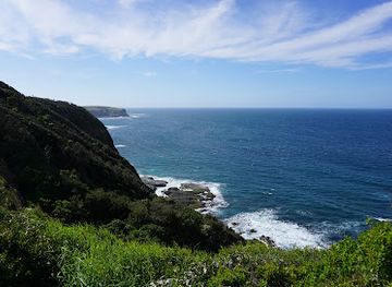 australia/mornington-peninsula/attraction/two-bays-walking-track