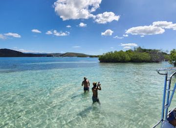 puerto-rico/la-parguera/attraction/parguera-glassbottom-kayaking-bioluminescent-bay-boat-kayak-tours