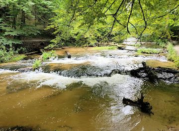 poland/roztocze-national-park/attraction/rezerwat-przyrody-nad-tanwia