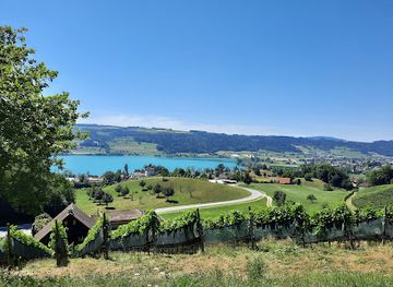 switzerland/uri/attraction/schloss-heidegg