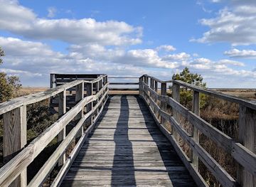 virginia/northern-neck/attraction/dameron-marsh-natural-area-preserve
