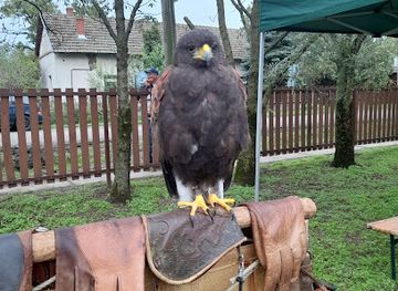 hungary/koros-maros-national-park/attraction/koros-maros-nemzeti-park-igazgatosag-kardoskuti-muzeum