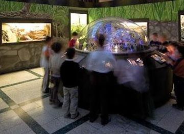 vatican-city/gregorian-etruscan-museum/attraction/museo-civico-di-zoologia