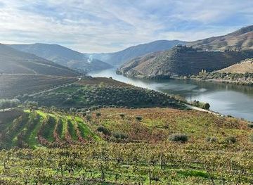 portugal/beira-alta/attraction/cmtour-douro-valley-tours