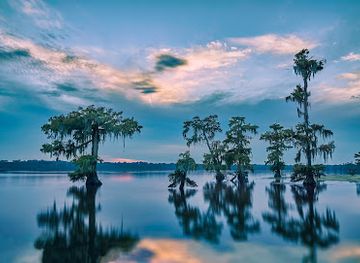 louisiana/bayou-teche/attraction/cajun-country-swamp-tours