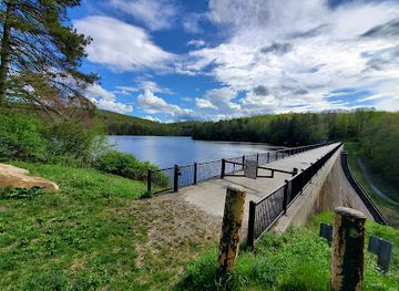 massachusetts/mohawk-trail-state-forest/attraction/october-mountain-state-forest