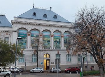 hungary/mecsek-mountains/attraction/csontvary-museum