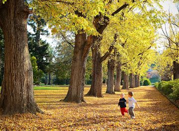 australia/murray-region/attraction/albury-botanic-gardens