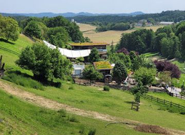 austria/burgenland/attraction/zotter-schokolade
